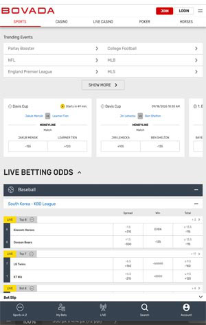 Bovada Sportsbook screenshot